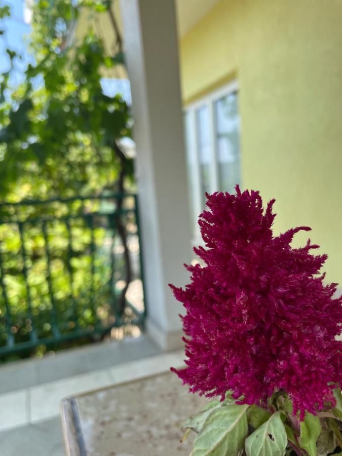 Apartments Mornar Poljica  Екстер'єр фото