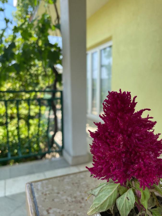 Apartments Mornar Poljica  Екстер'єр фото